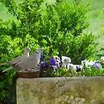 Votre En Perigord : La Grangette. 度假居 Sauveterre-la-Lémance
