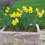 度假居 Votre En Perigord : La Grangette. *