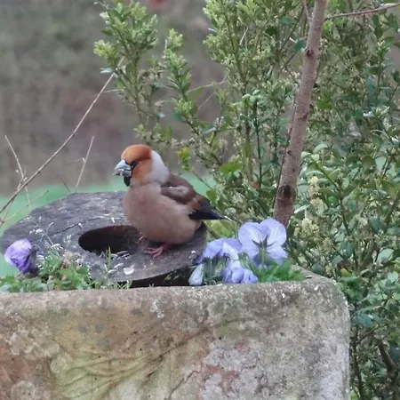 Votre En Perigord : La Grangette. Sauveterre-la-Lémance