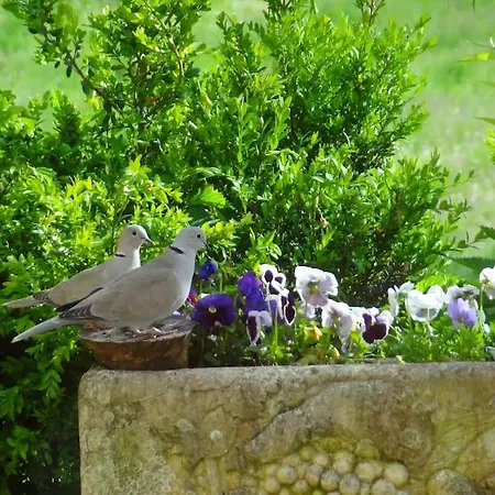Votre En Perigord : La Grangette. Tatil Evi Sauveterre-la-Lémance