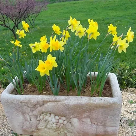 בית נופש Votre En Perigord : La Grangette. *