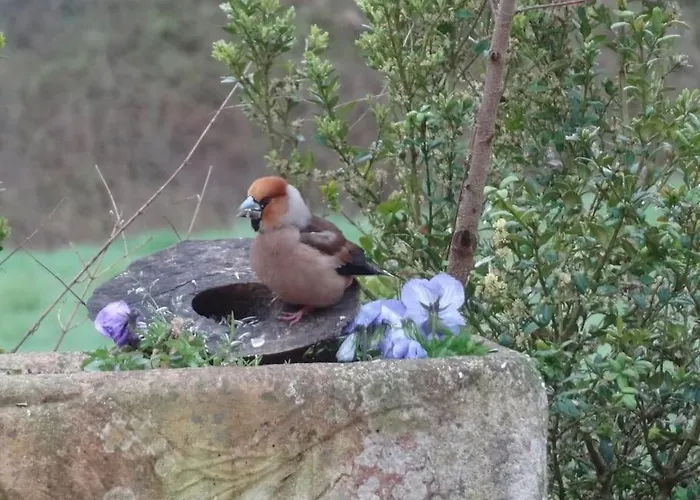 Votre En Perigord : La Grangette. Sauveterre-la-Lemance