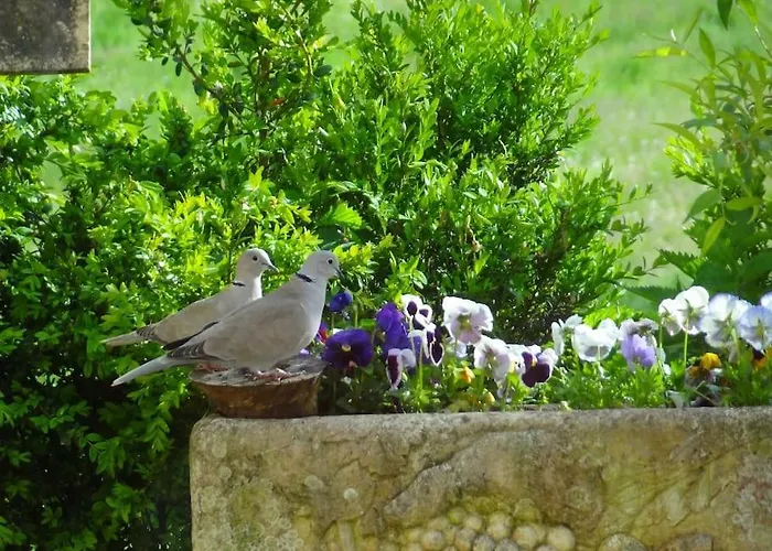 Votre En Perigord : La Grangette. Дом отдыха Sauveterre-la-Lemance