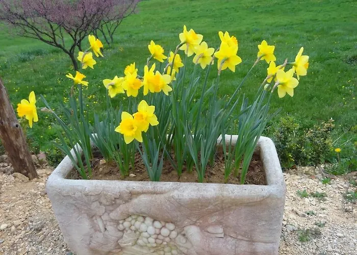 Дом отдыха Votre En Perigord : La Grangette. *